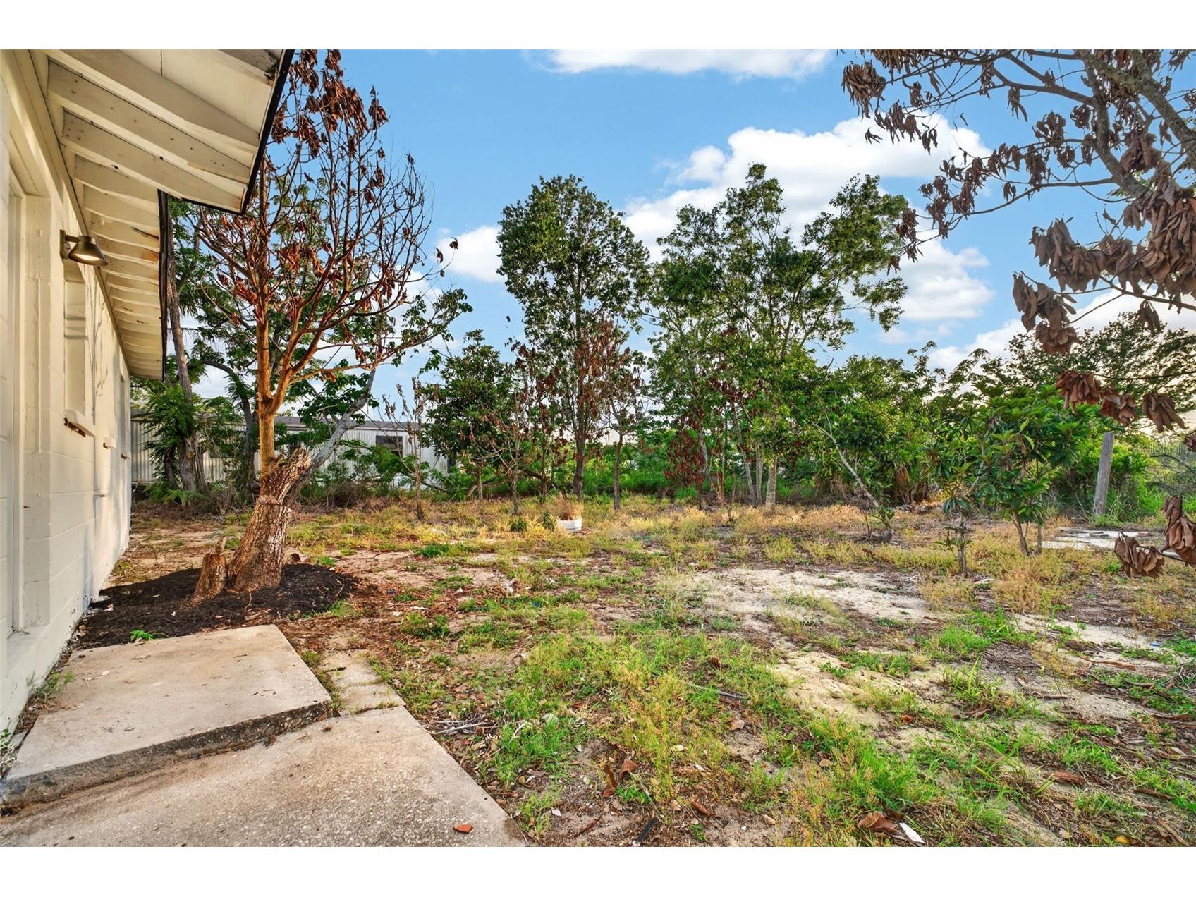 931 Lincoln Street Babson Park FL 33827 TB8505291 image16