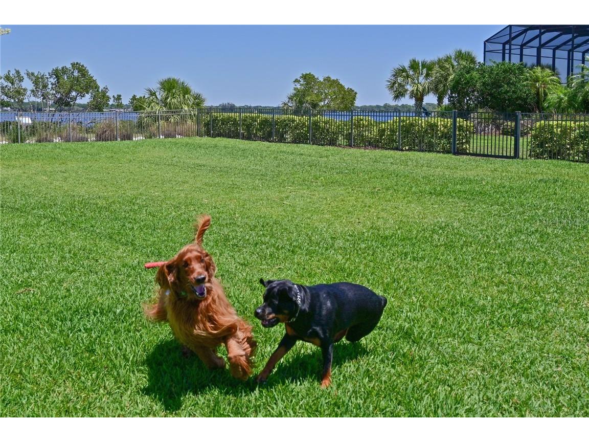 931 Mangrove Edge Court Bradenton FL 34208 - MANATEE A4668566 image51