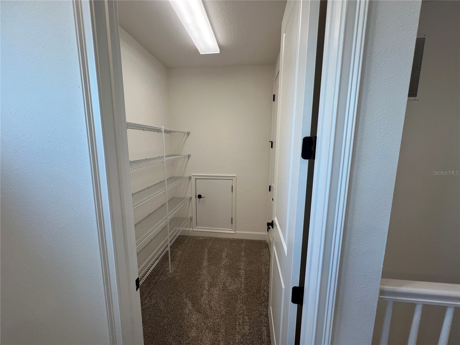 931 Signet Drive Apollo Beach FL 33572 A4699341 image8