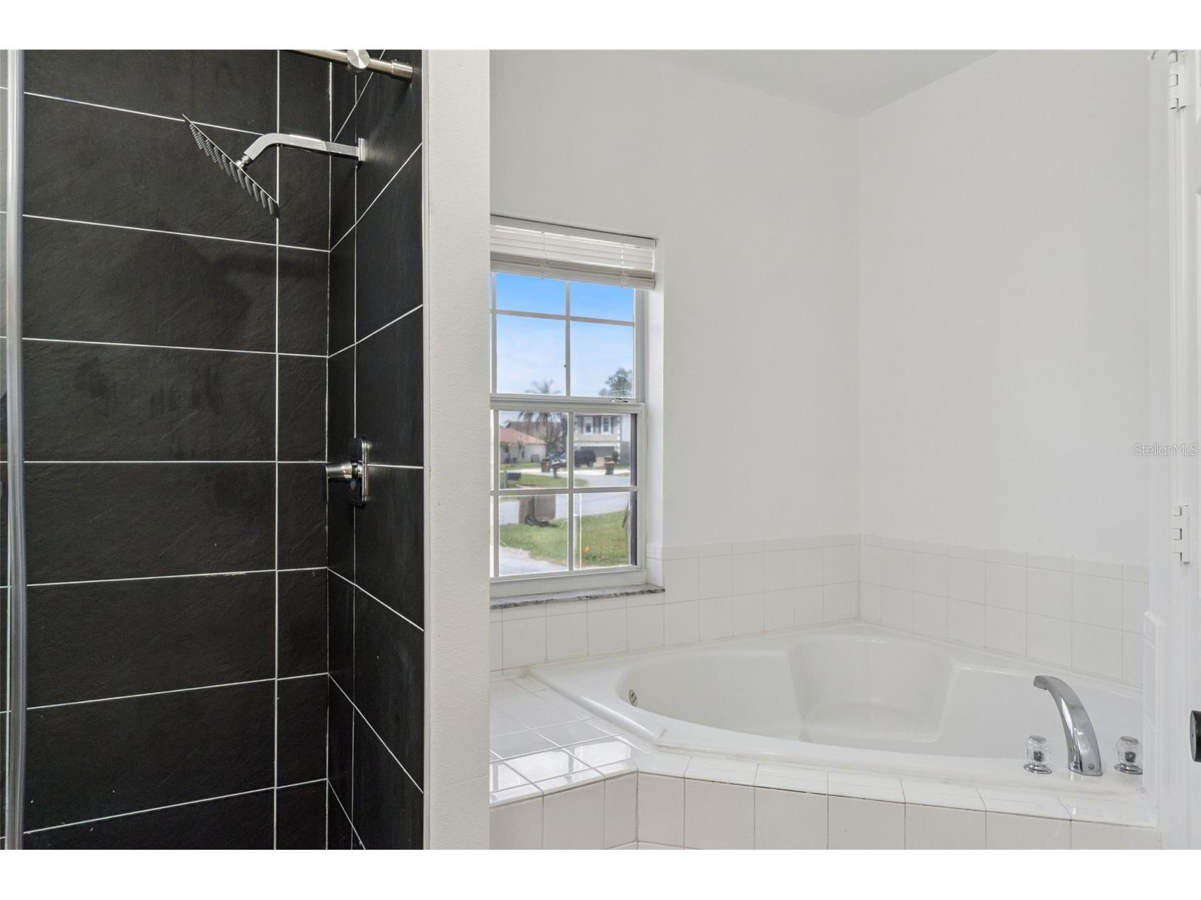 931 Van Loon Court Kissimmee FL 34758 O6413694 image27
