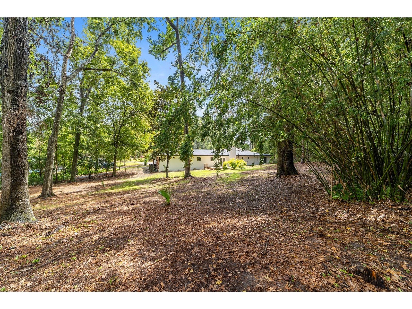 9310 NW 10th Place Gainesville FL 32606 OM710404 image53