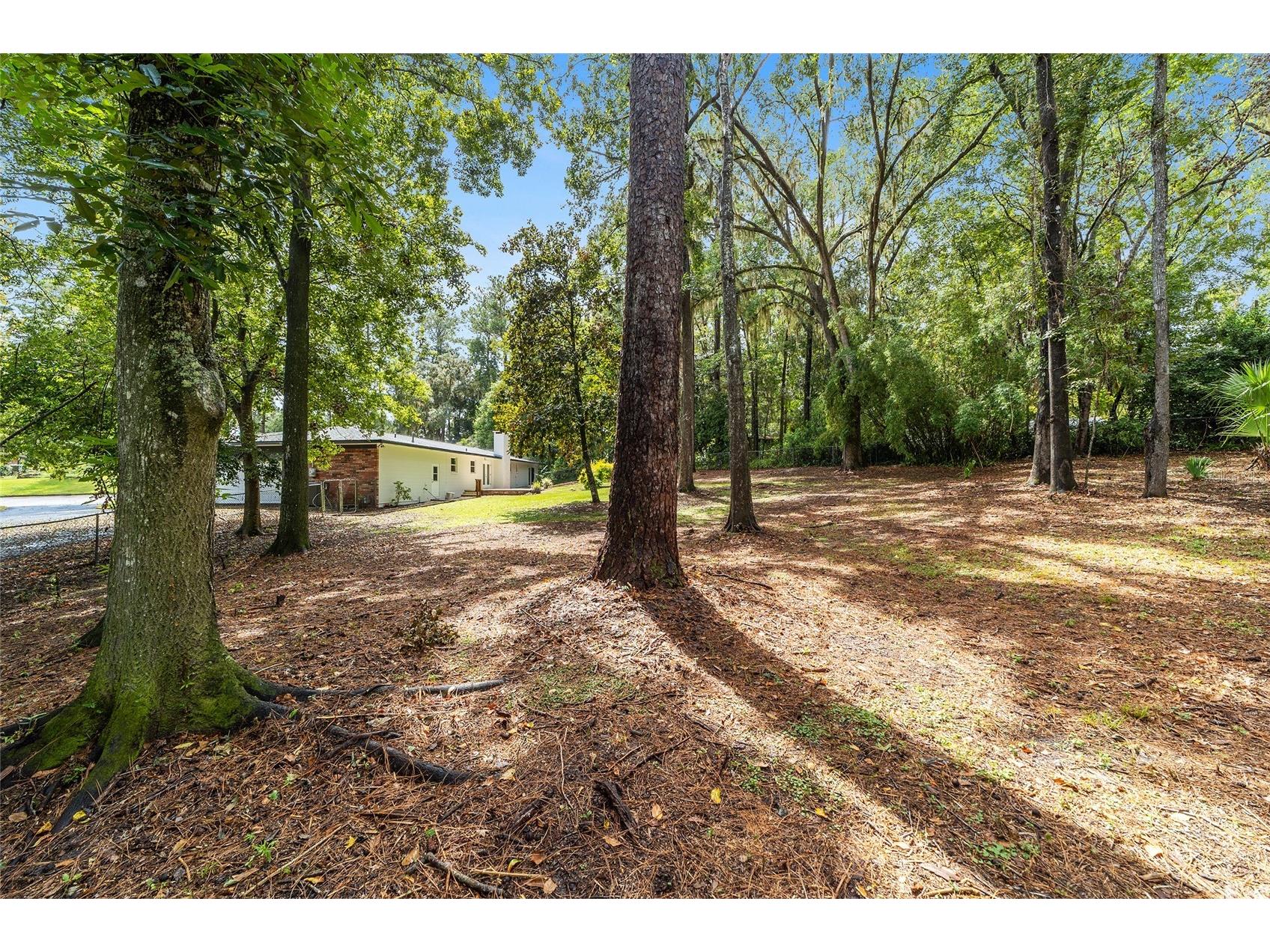 9310 NW 10th Place Gainesville FL 32606 OM710404 image55