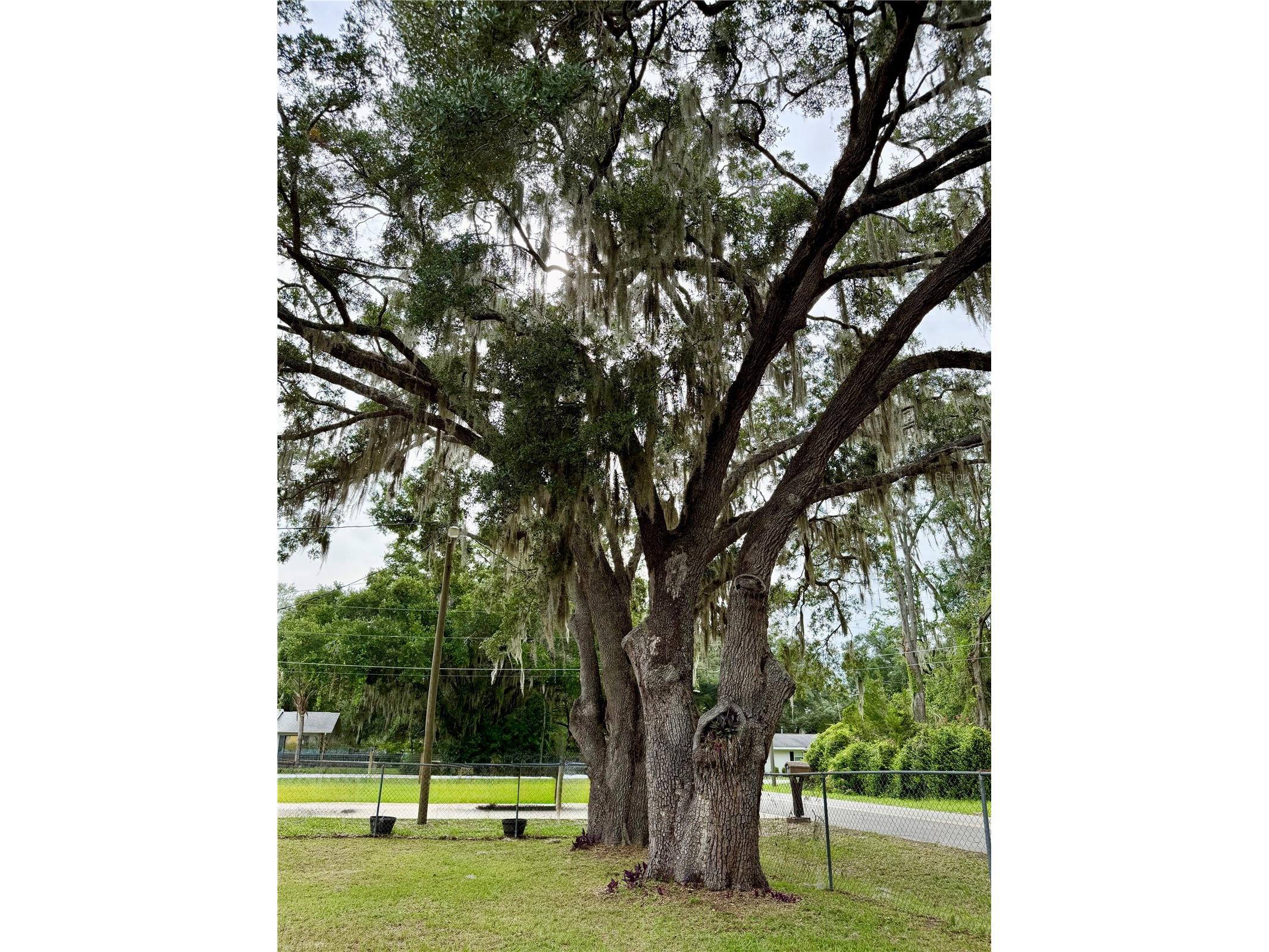 9310 SE 164th Place Summerfield FL 34491 R4911472 image22