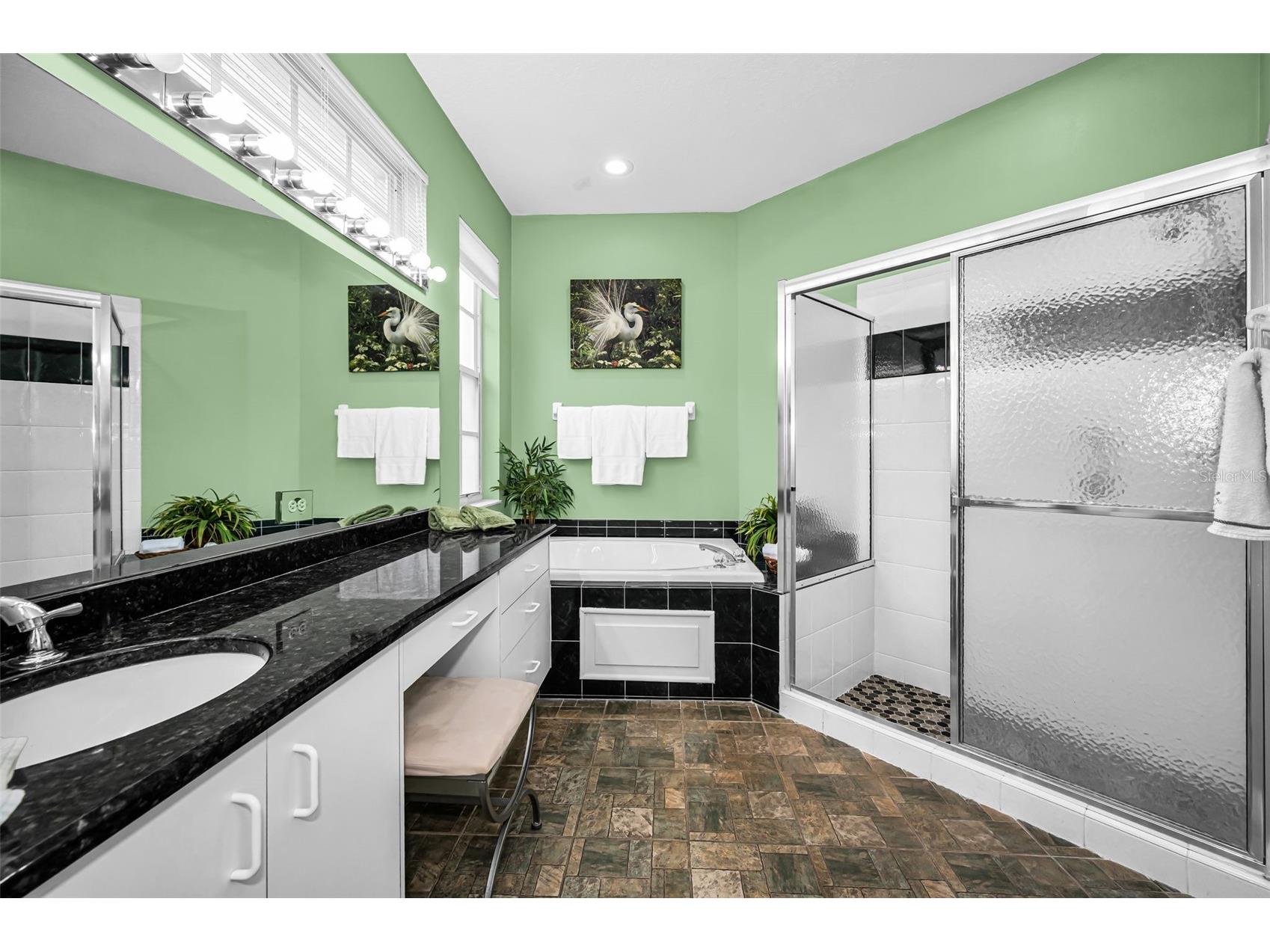 9310 Souchak Drive Trinity FL 34655 TB8508692 image25