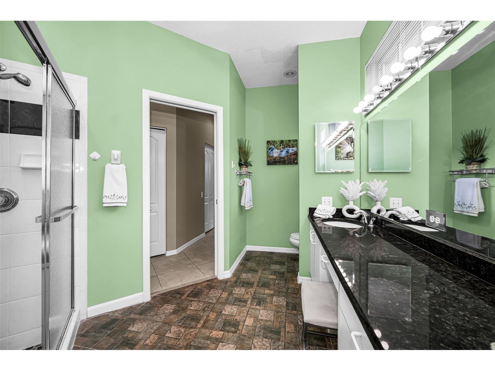 9310 Souchak Drive Trinity FL 34655 TB8508692 image26