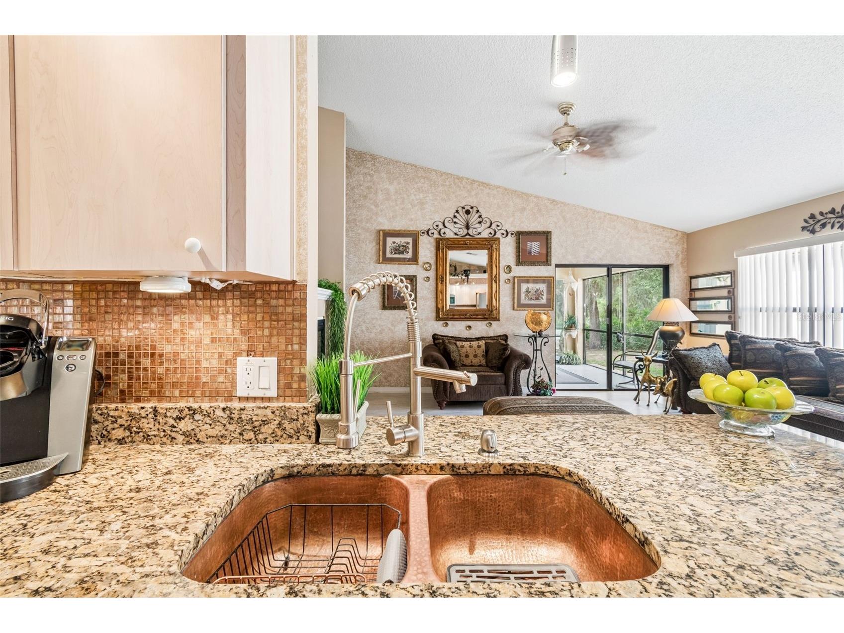 9311 Haas Drive Hudson FL 34669 TB8515484 image23