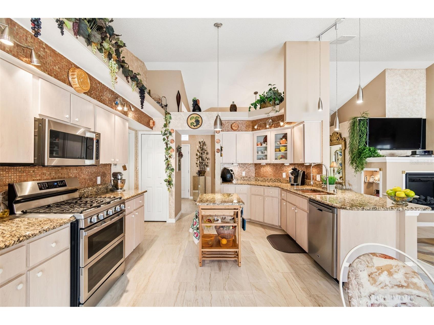 9311 Haas Drive Hudson FL 34669 TB8515484 image26