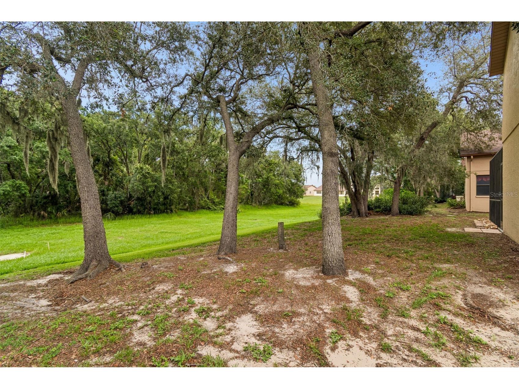 9311 Haas Drive Hudson FL 34669 TB8515484 image55