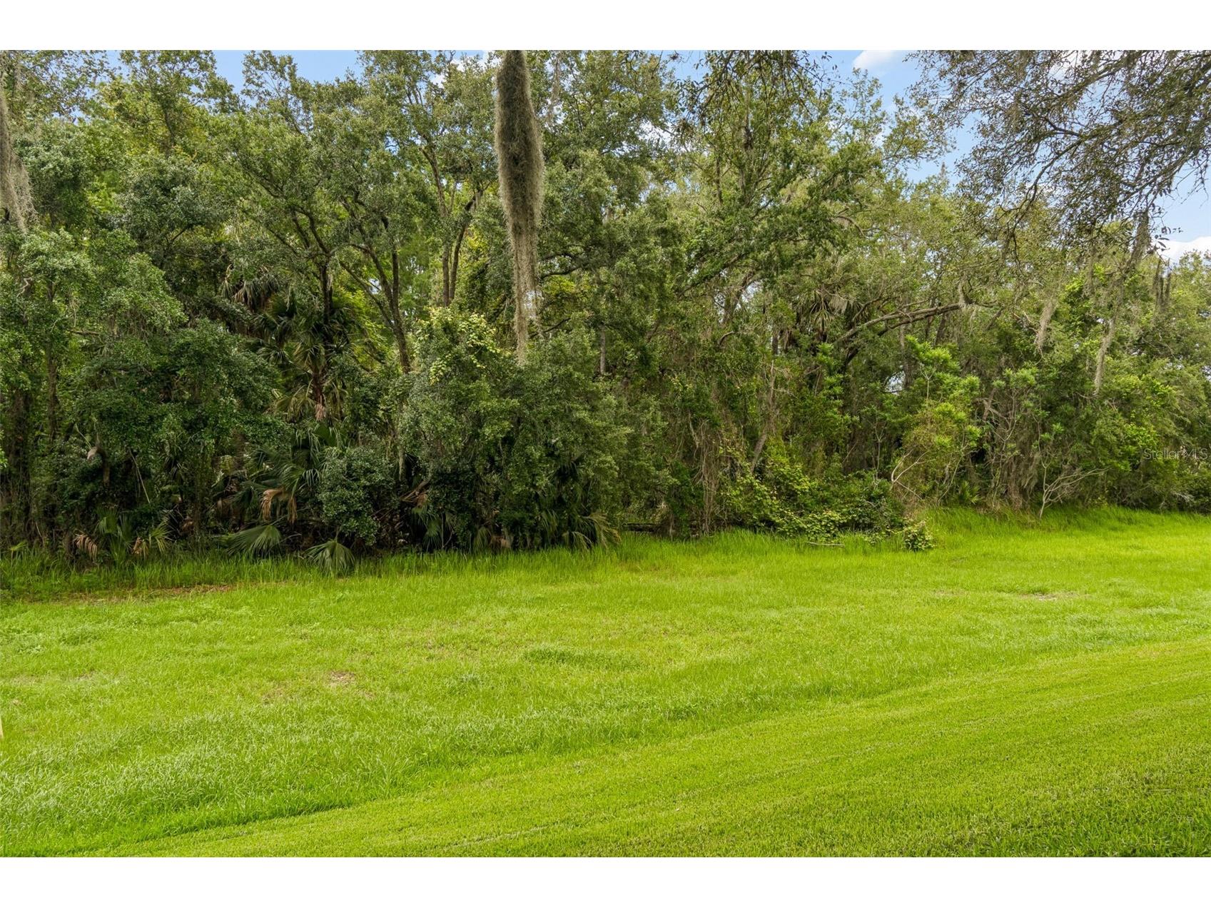 9311 Haas Drive Hudson FL 34669 TB8515484 image56