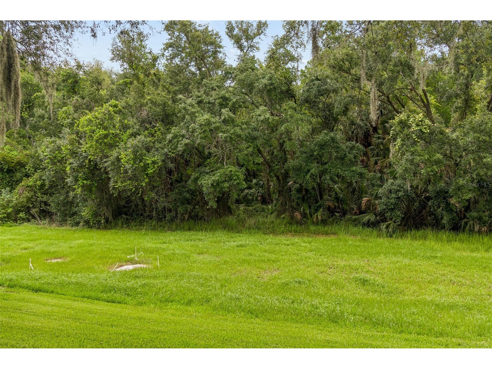 9311 Haas Drive Hudson FL 34669 TB8515484 image57