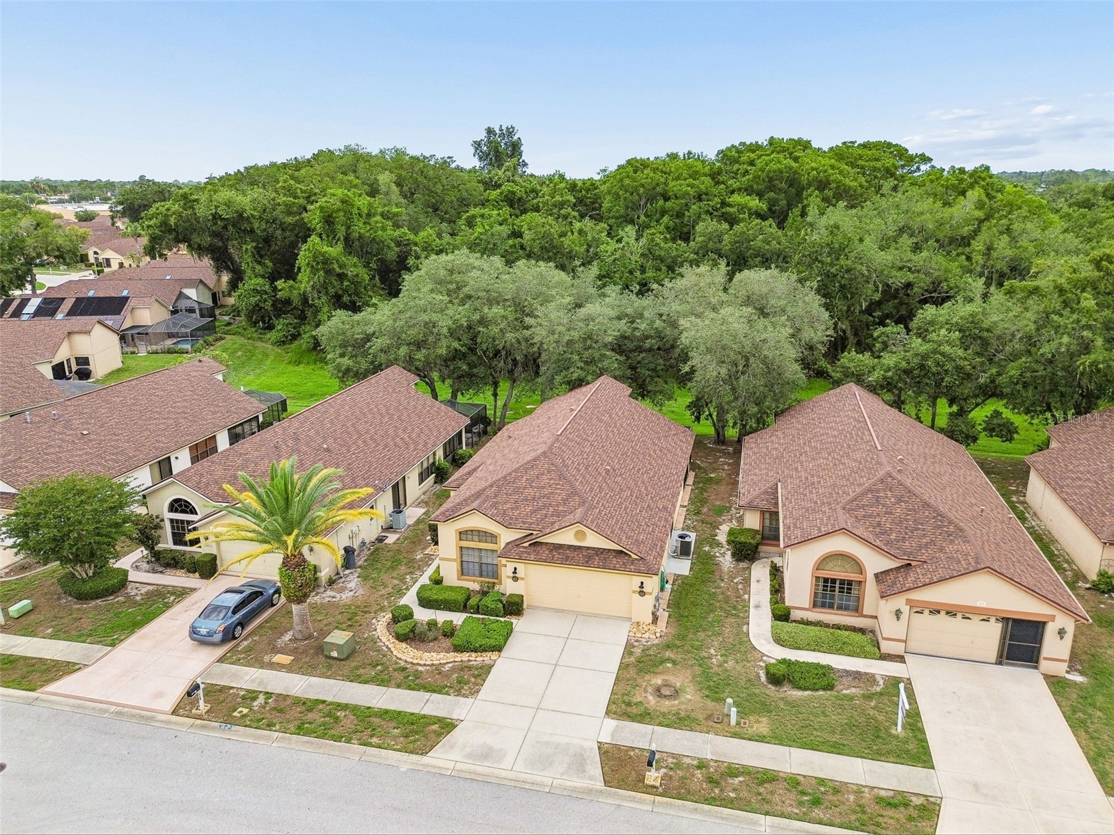 9311 Haas Drive Hudson FL 34669 TB8515484 image59