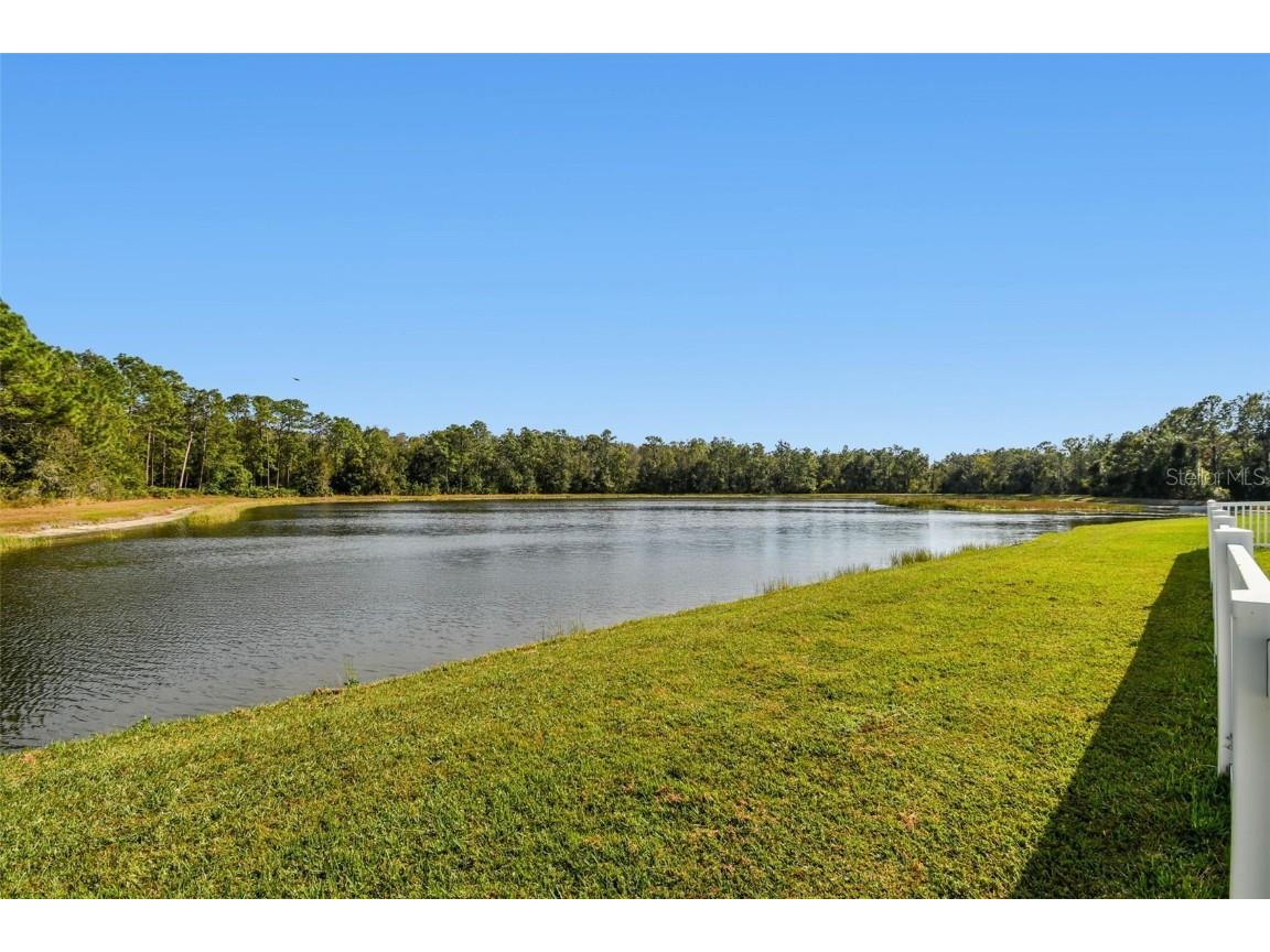 9311 Mangrove Court Tampa FL 33647 TB8456814 image44