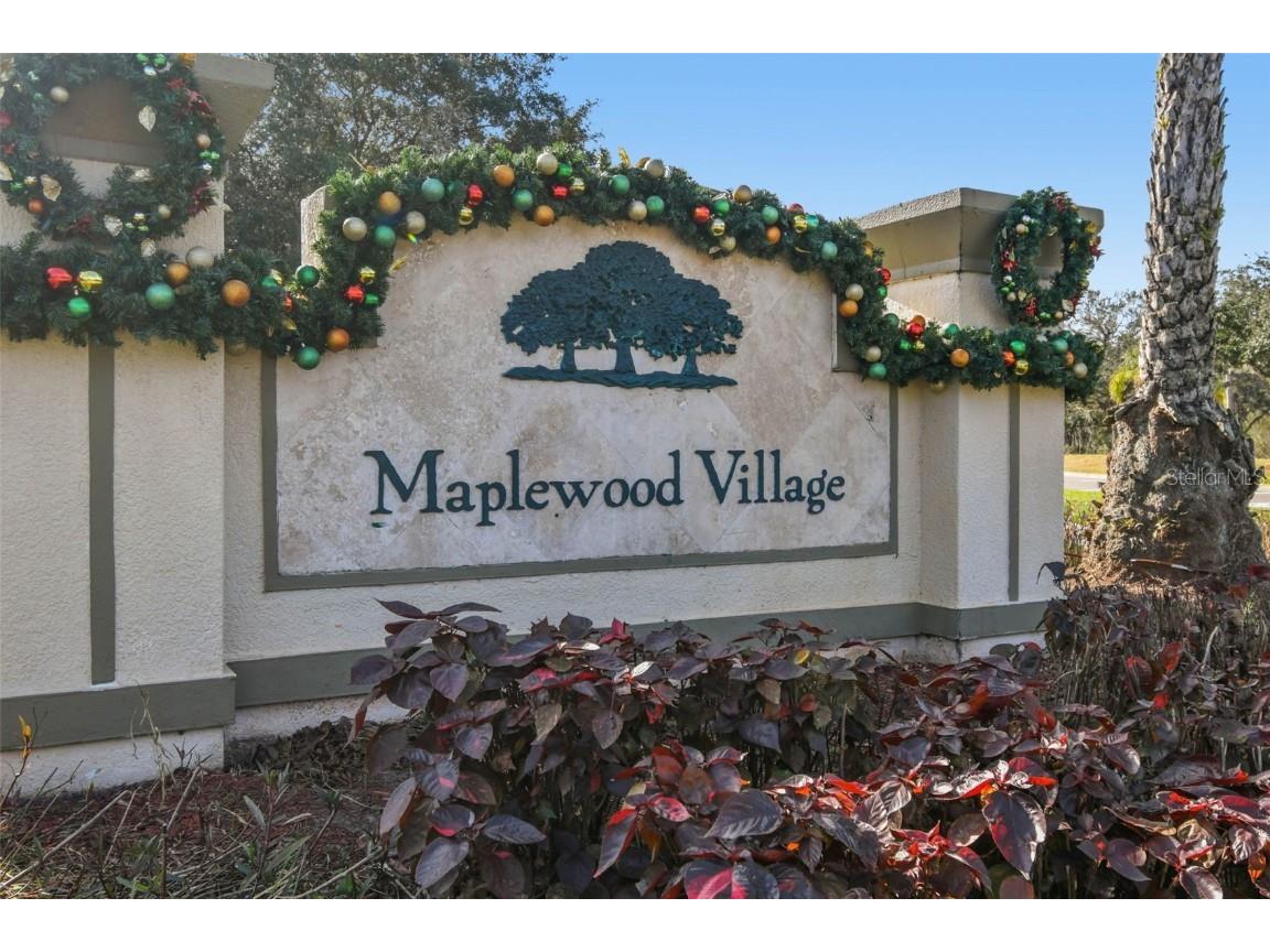 9311 Mangrove Court Tampa FL 33647 TB8456814 image45