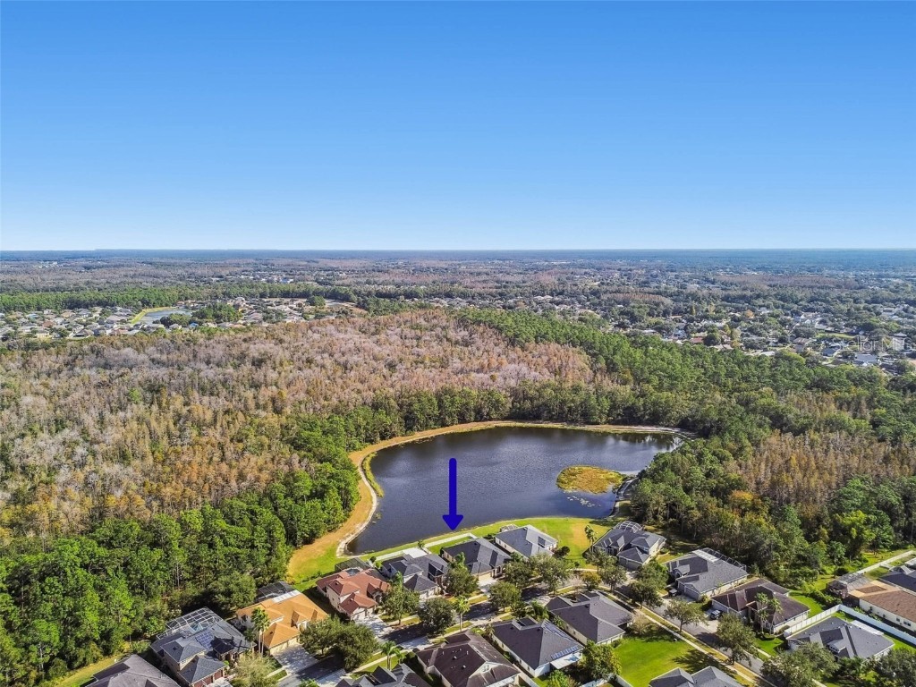 9311 Mangrove Court Tampa FL 33647 TB8456814 image46