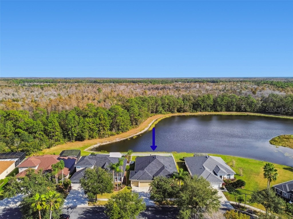 9311 Mangrove Court Tampa FL 33647 TB8456814 image47