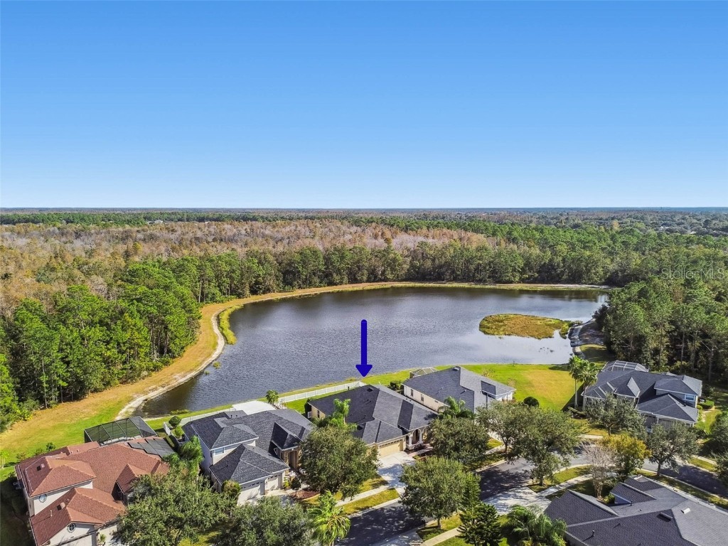 9311 Mangrove Court Tampa FL 33647 TB8456814 image48