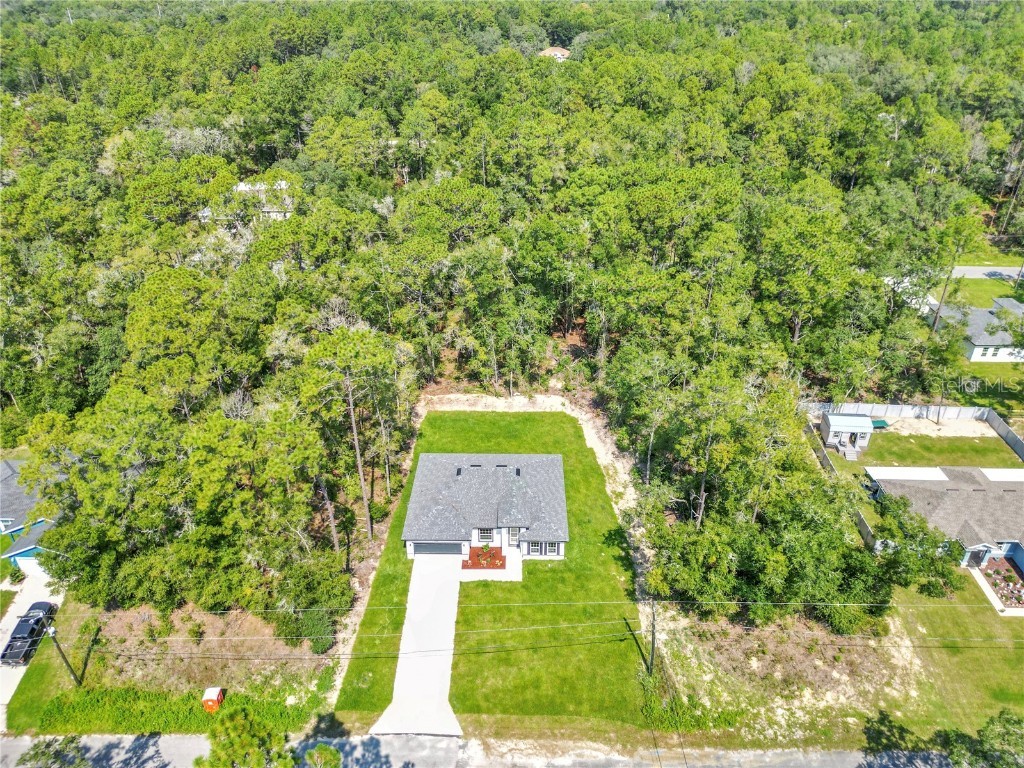 9311 N Sherman Drive Citrus Springs FL 34434 O6339873 image12