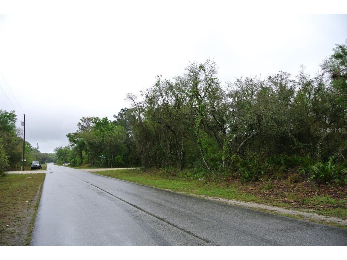 9311 Porto Bello Avenue Webster FL 33597 U8156854 image1