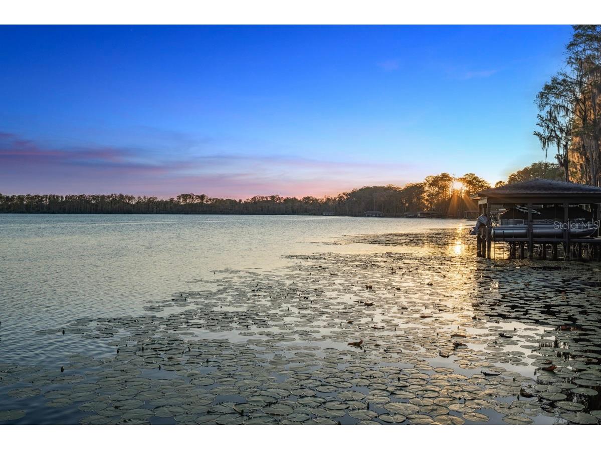 9312 Blanche Cove Dr Windermere FL 34786 - LAKE BLANCHE O6407102 image95