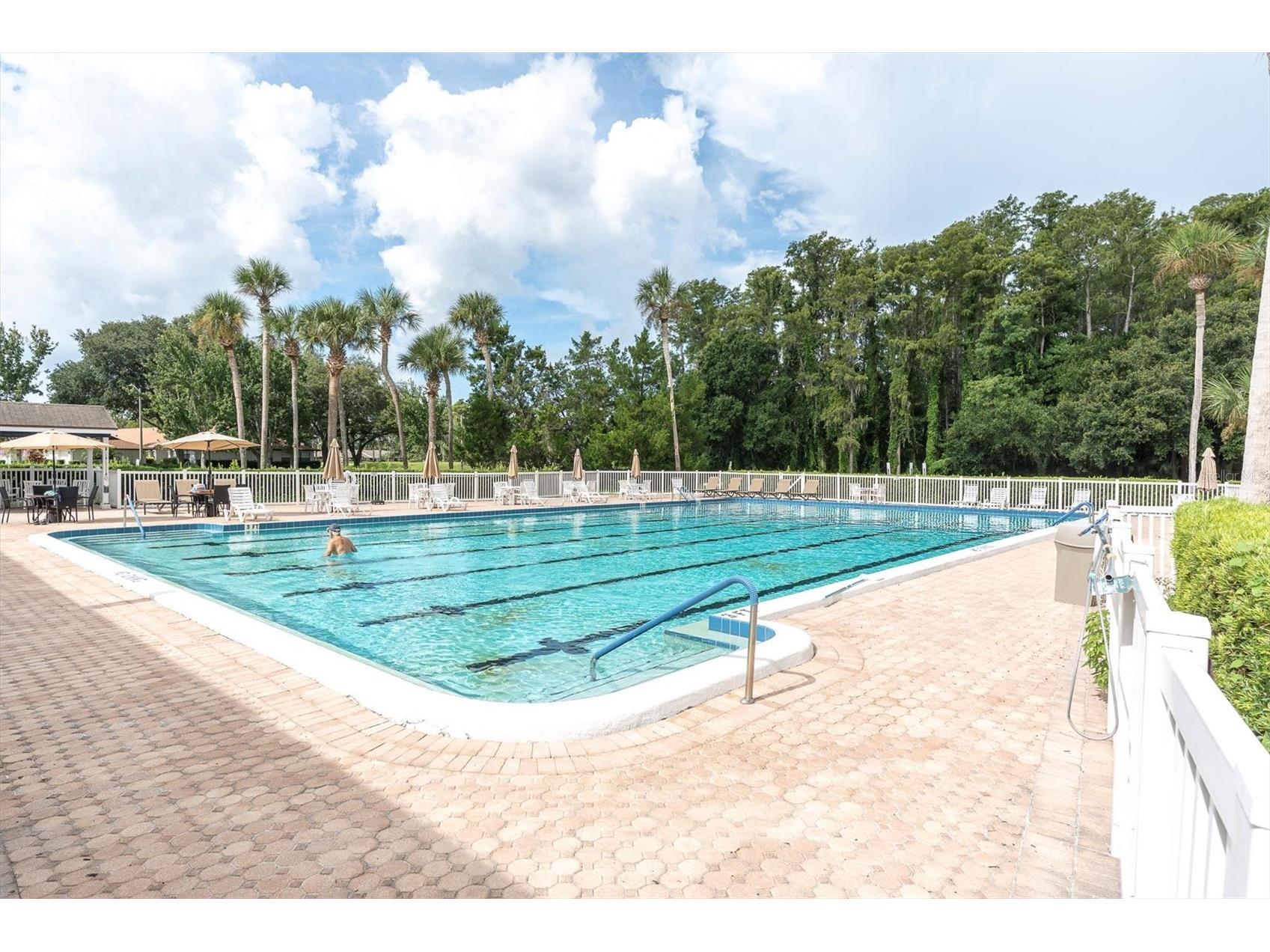 9312 Golf View Drive #3 New Port Richey FL 34655 TB8414415 image31