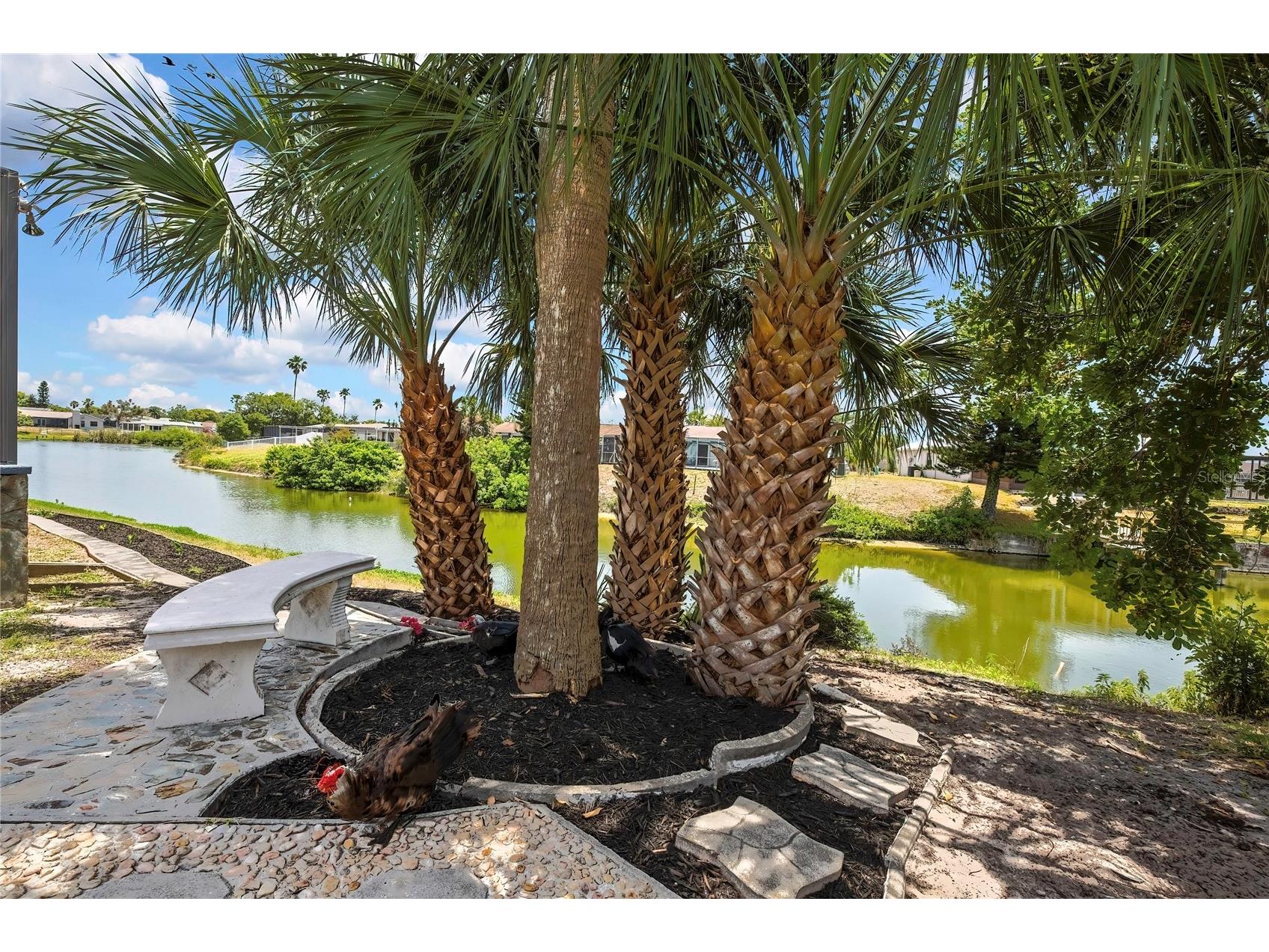 9312 Lake Christina Lane Port Richey FL 34668 W7885497 image61