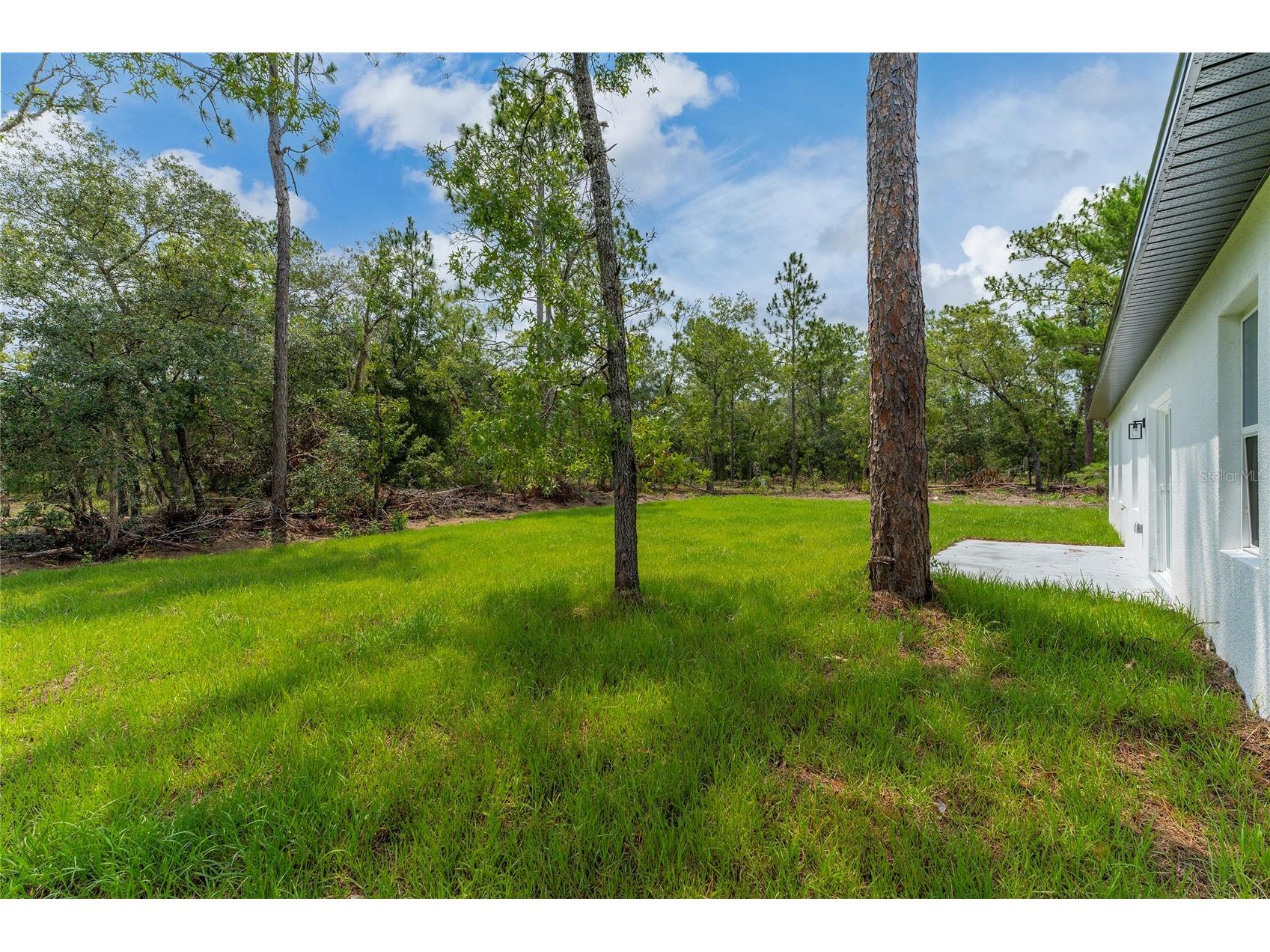 9312 N Akola Way Citrus Springs FL 34434 O6385102 image28