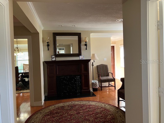 9312 N Armenia Avenue Tampa FL 33612 TB8401262 image3