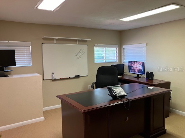 9312 N Armenia Avenue Tampa FL 33612 TB8401262 image4