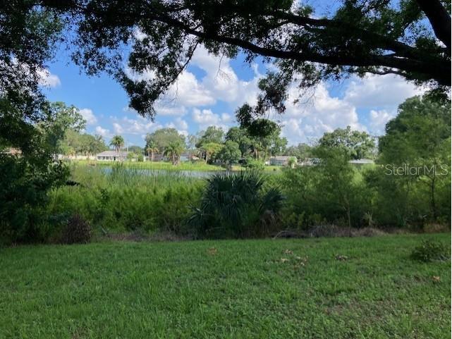 9312 N Armenia Avenue Tampa FL 33612 TB8401262 image7