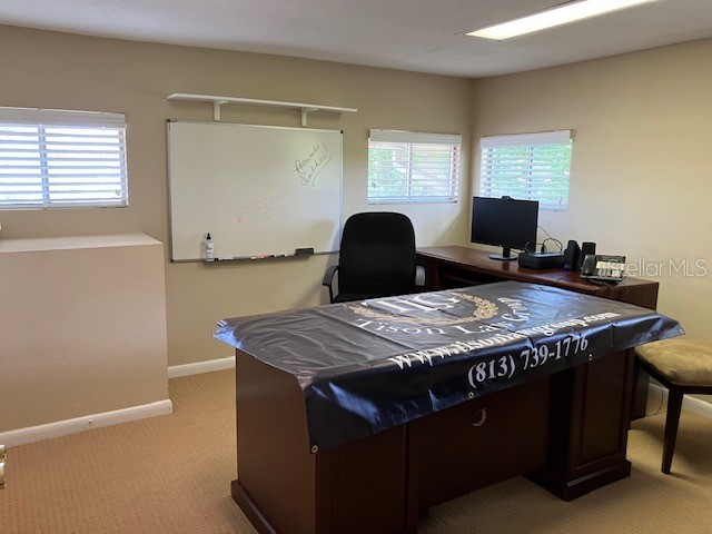 9312 N Armenia Avenue Tampa FL 33612 TB8401262 image9