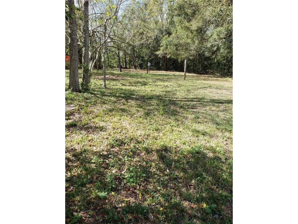 9312 Trevarthon Road Orlando FL 32817 - ECONLOCKAHATCHEE O6114729 image1