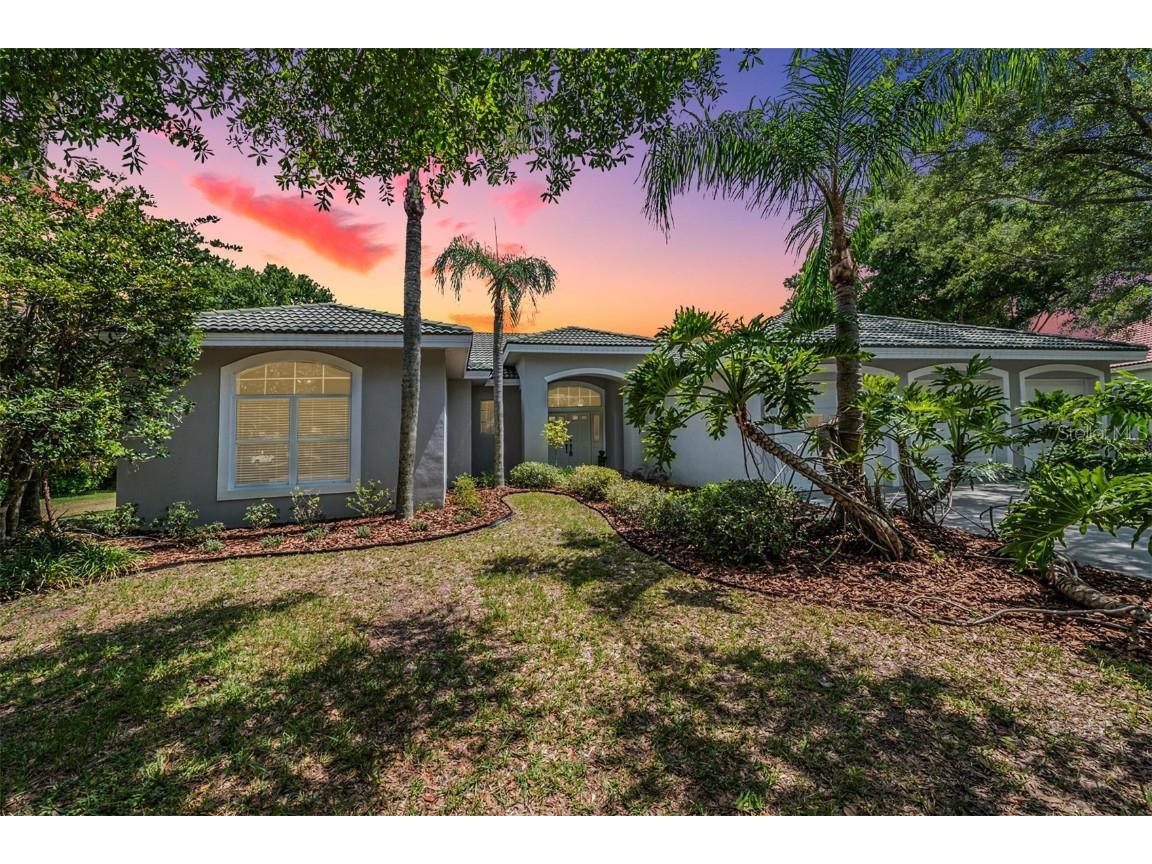 9313 Cypress Bend Drive Tampa FL 33647 T3534379 image1