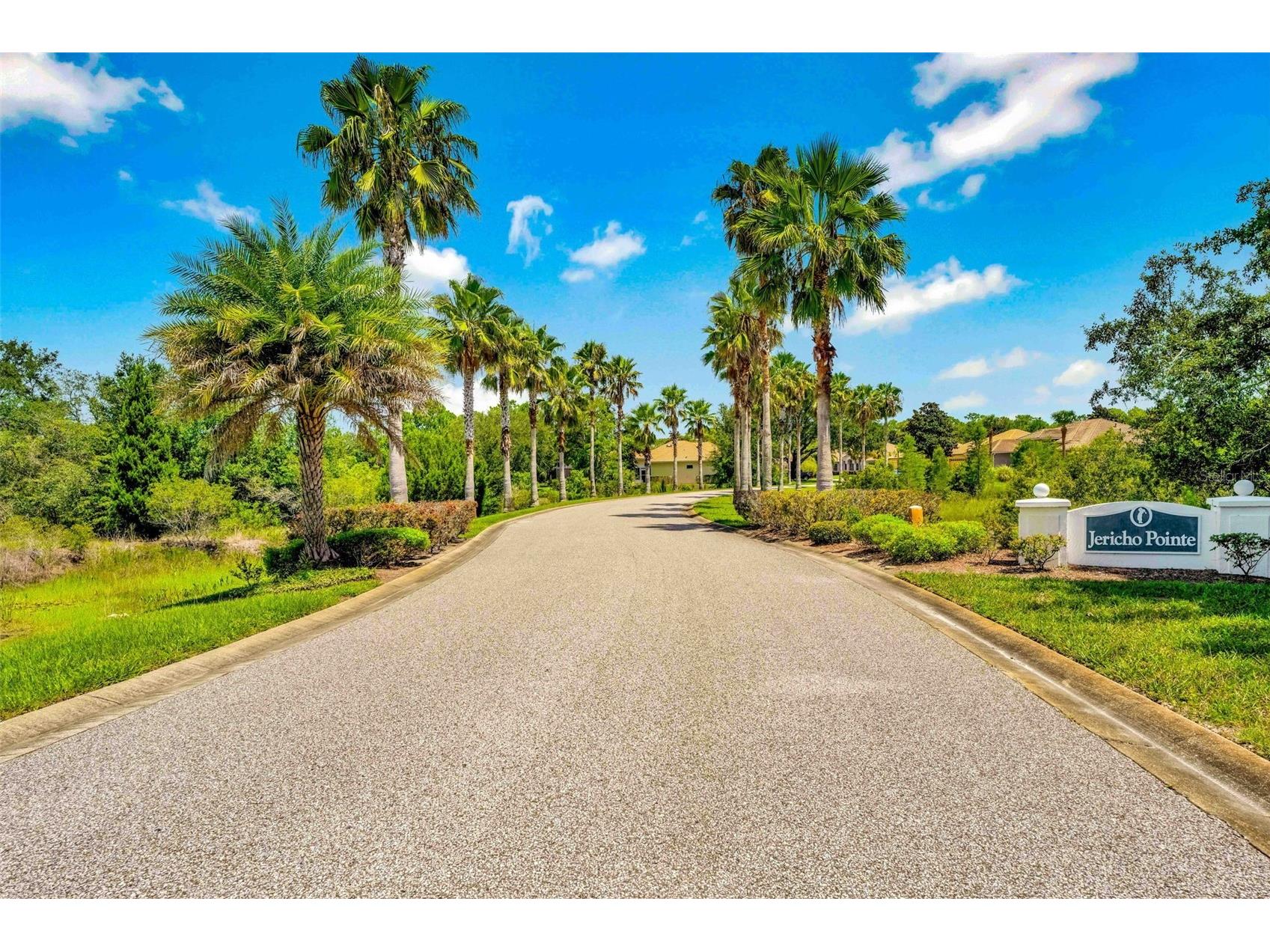 9313 Gentle Ben Court Weeki Wachee FL 34613 TB8461953 image48