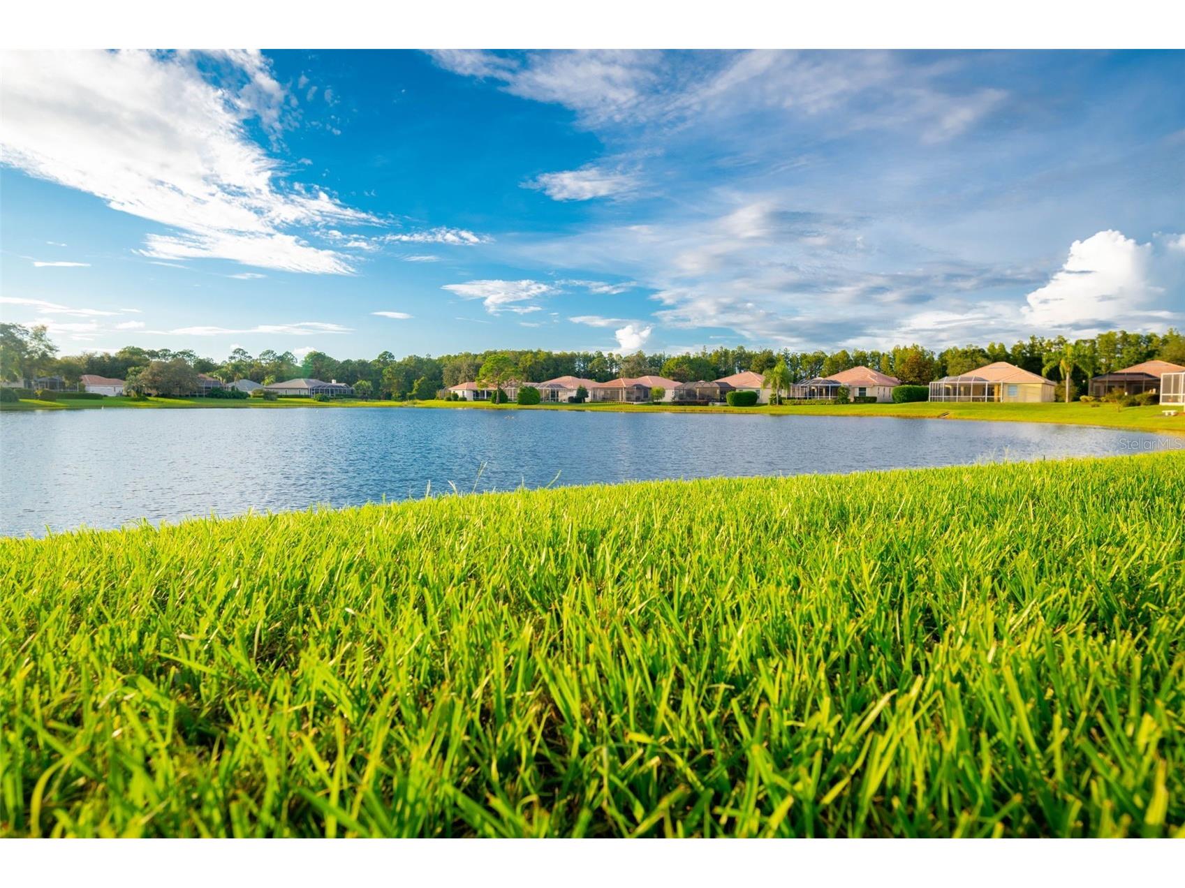 9313 Gentle Ben Court Weeki Wachee FL 34613 TB8461953 image53