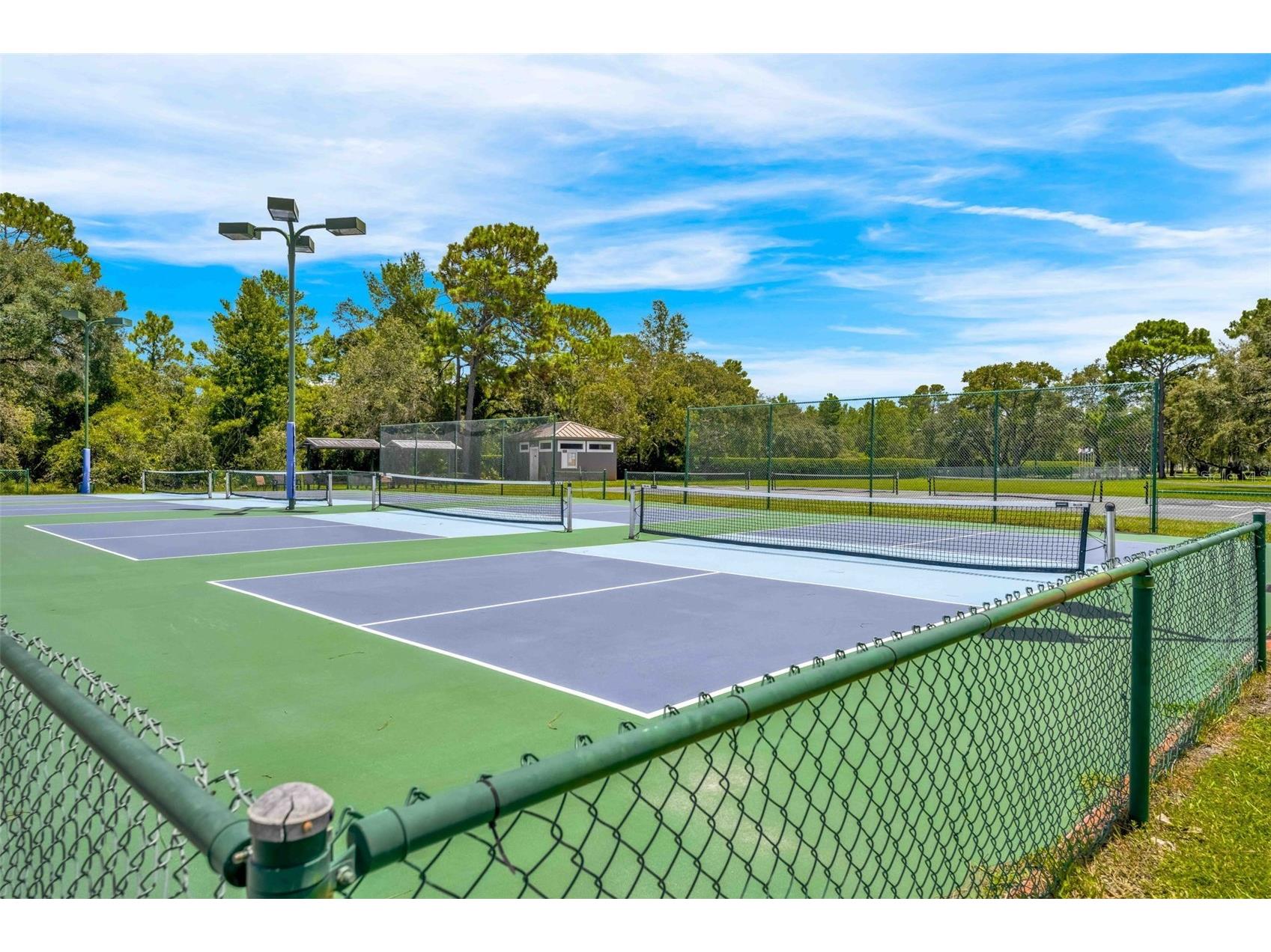 9313 Gentle Ben Court Weeki Wachee FL 34613 TB8461953 image66