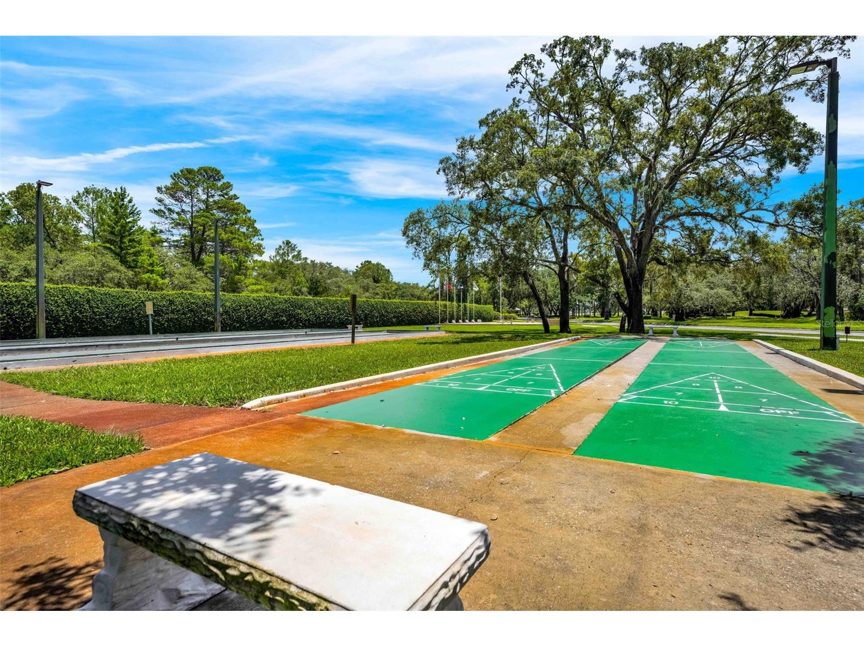 9313 Gentle Ben Court Weeki Wachee FL 34613 TB8461953 image72