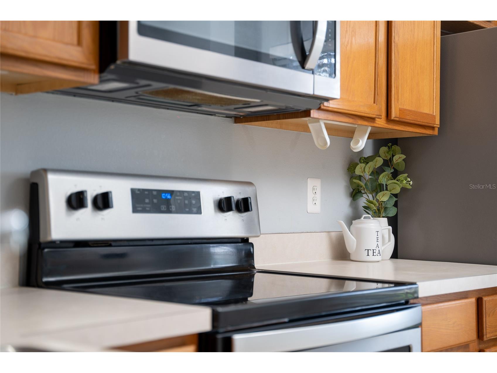 9313 Jasmine Flower Lane #185 Orlando FL 32832 O6377526 image10