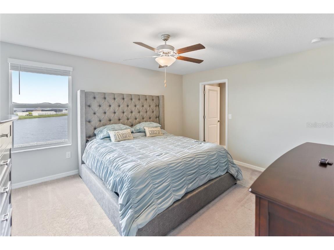 9313 Lemon Drop Loop Ruskin FL 33573 TB8384801 image10