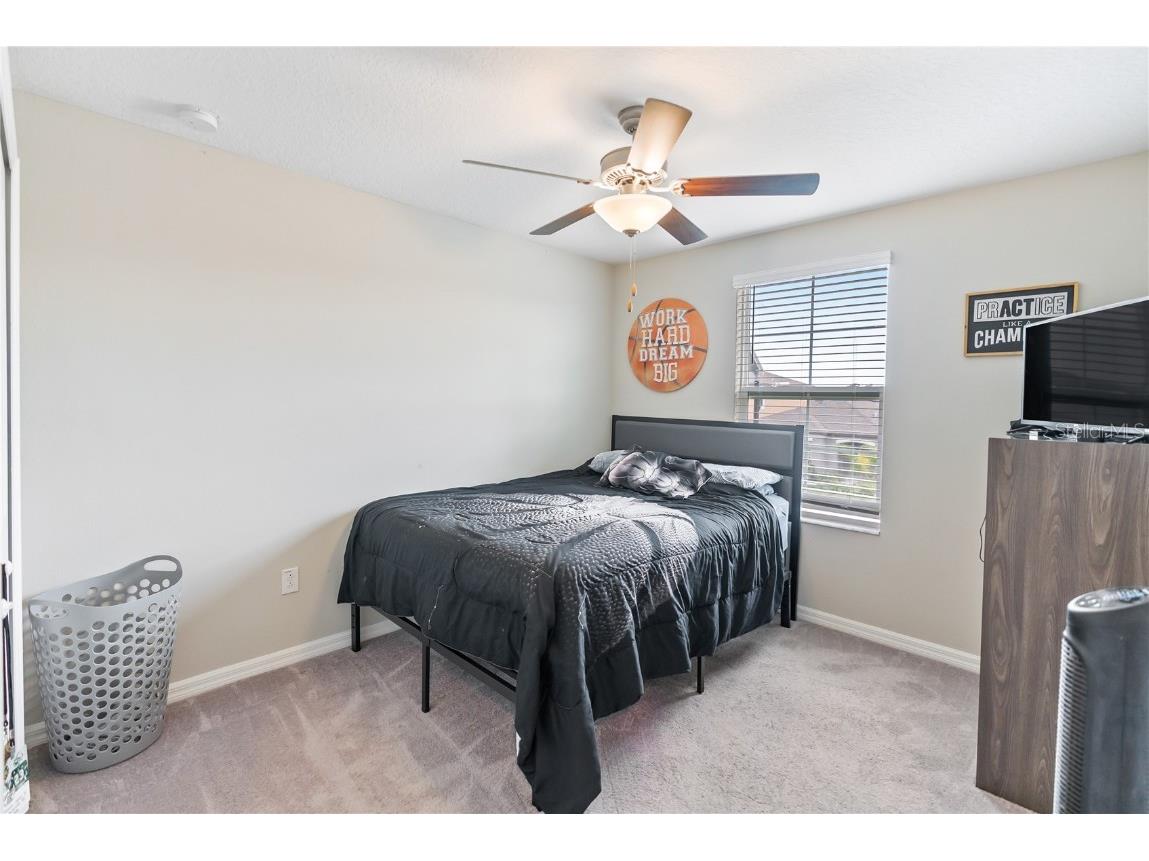 9313 Lemon Drop Loop Ruskin FL 33573 TB8384801 image19