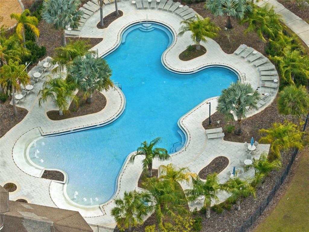 9313 Lemon Drop Loop Ruskin FL 33573 TB8384801 image26