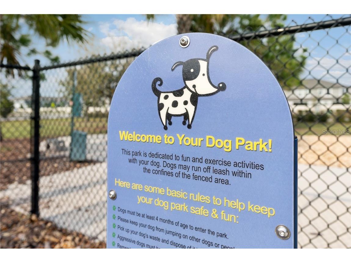 9313 Lemon Drop Loop Ruskin FL 33573 TB8384801 image28