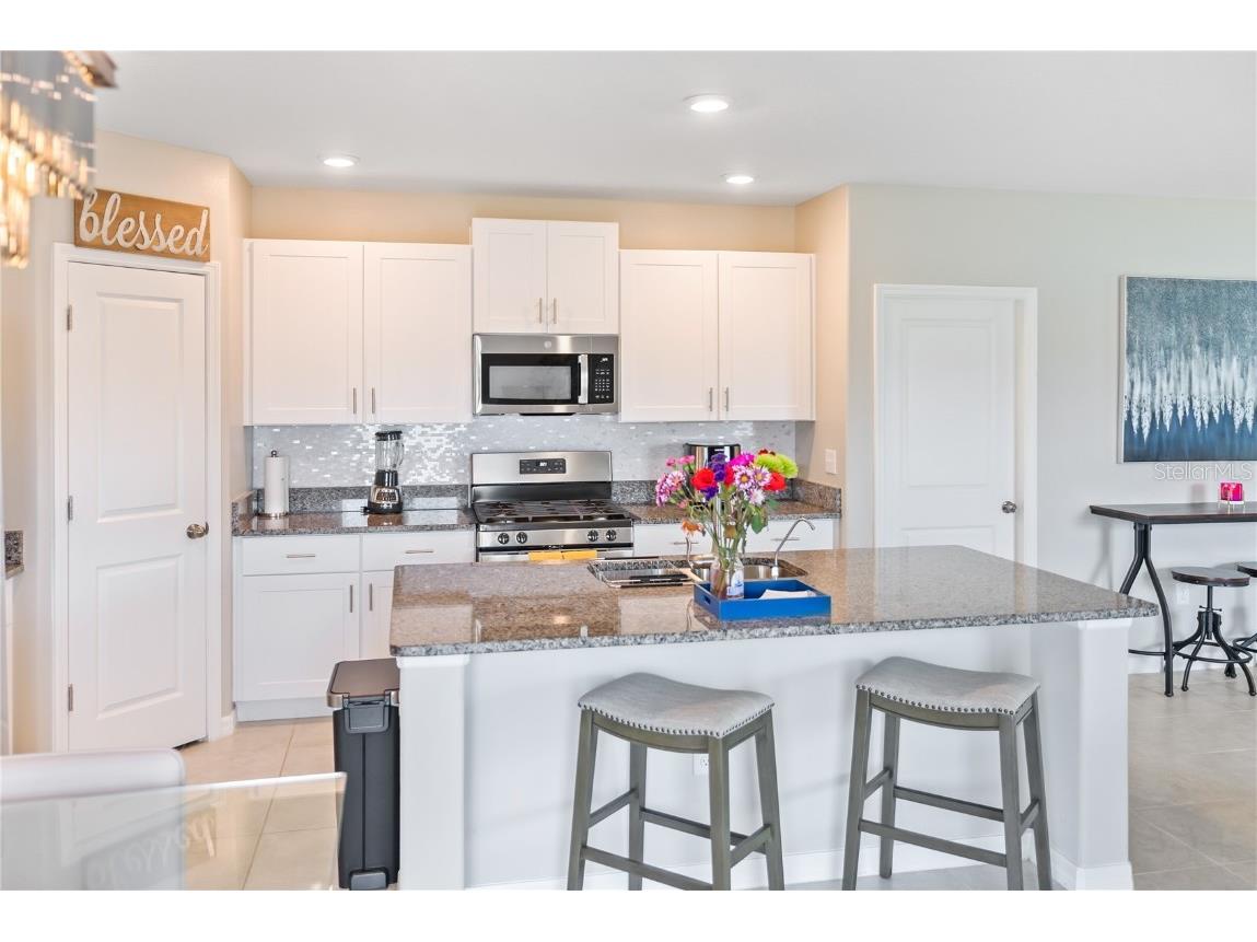 9313 Lemon Drop Loop Ruskin FL 33573 TB8384801 image7