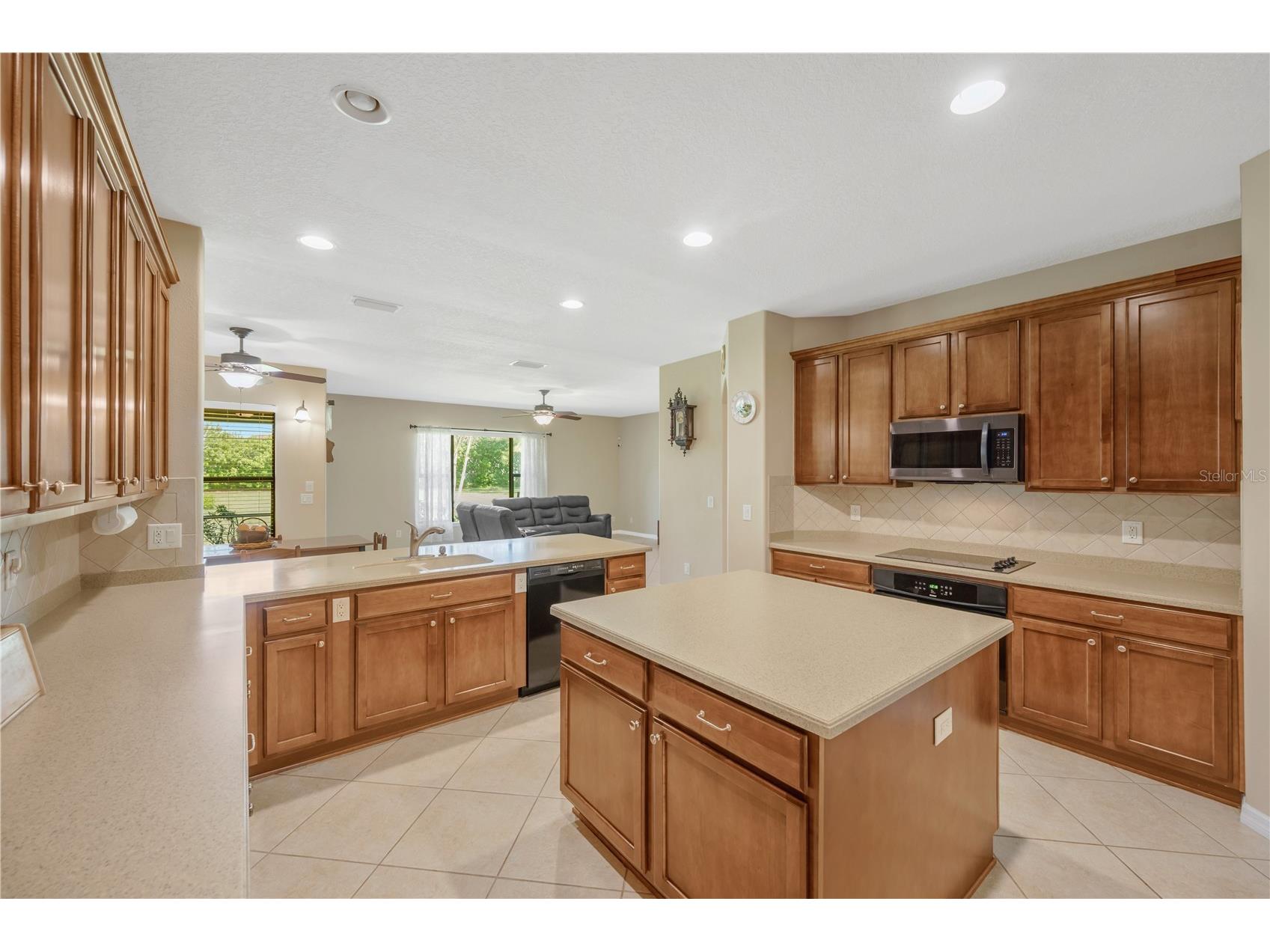 9313 Lisbon Street Seffner FL 33584 TB8497197 image3
