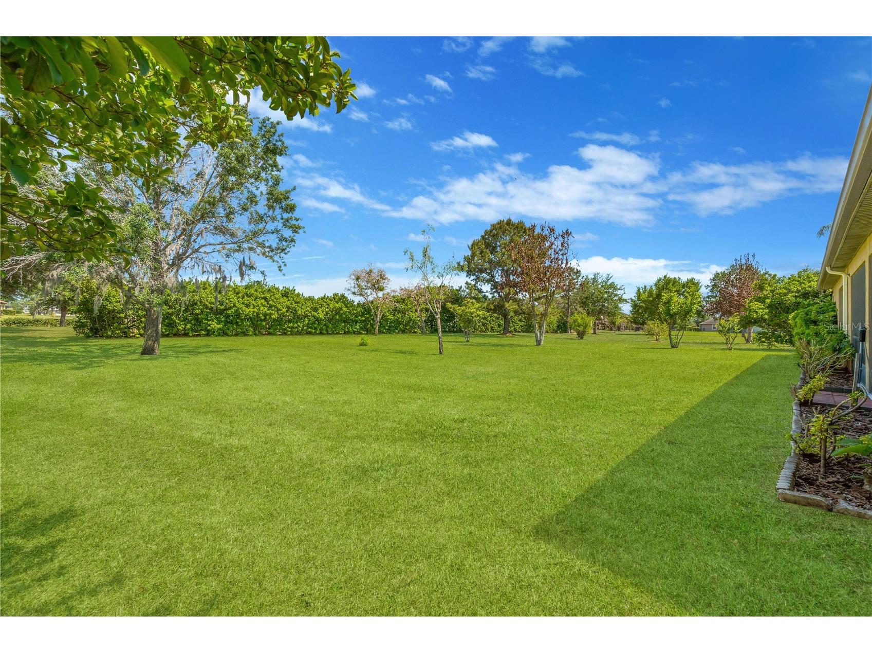 9313 Lisbon Street Seffner FL 33584 TB8497197 image35