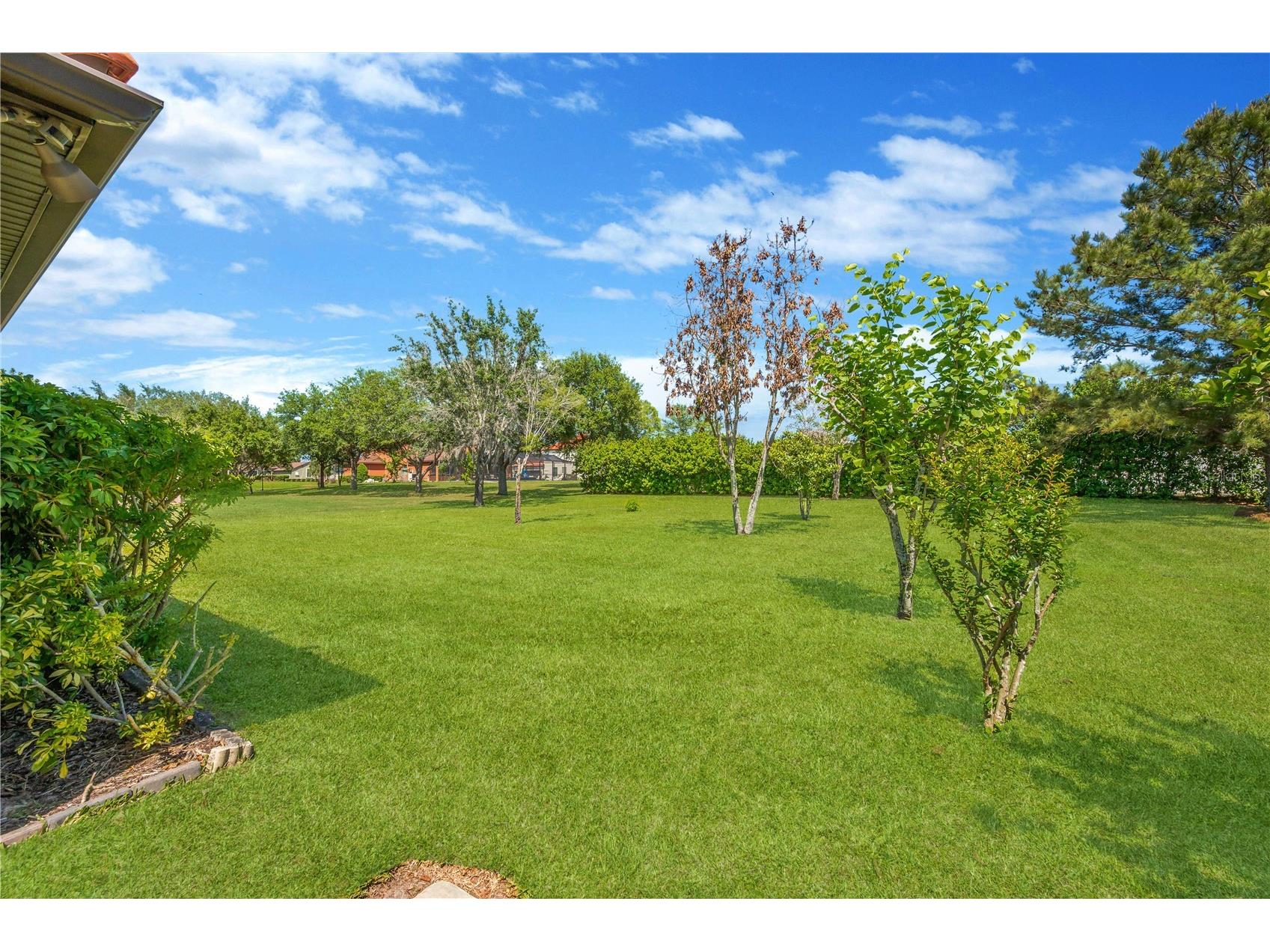 9313 Lisbon Street Seffner FL 33584 TB8497197 image36