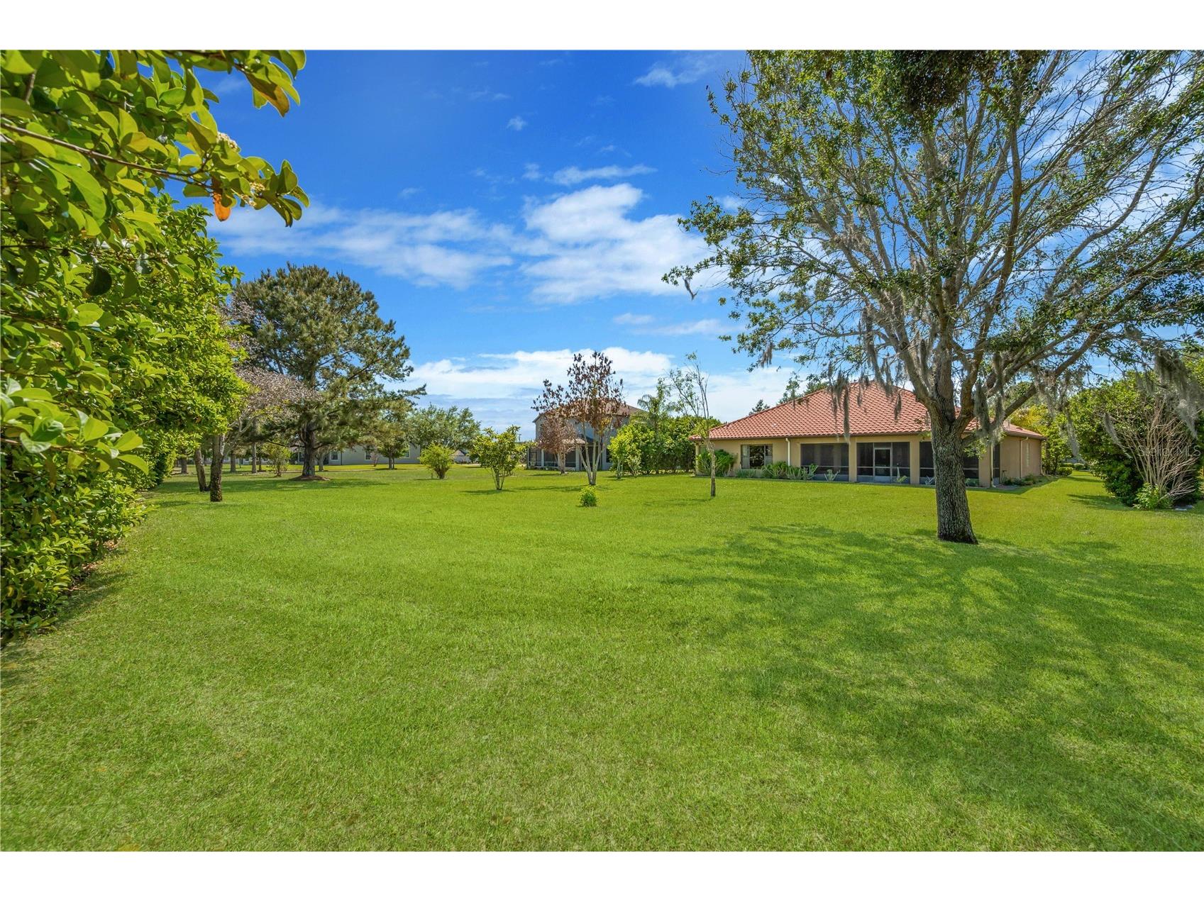 9313 Lisbon Street Seffner FL 33584 TB8497197 image38