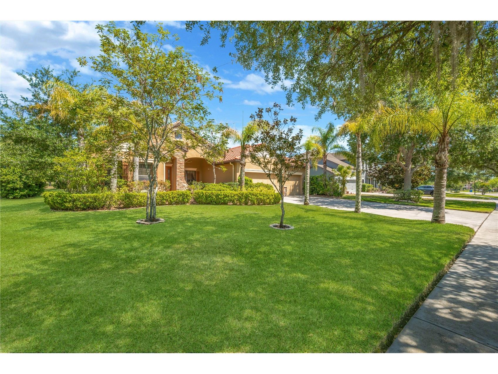 9313 Lisbon Street Seffner FL 33584 TB8497197 image42
