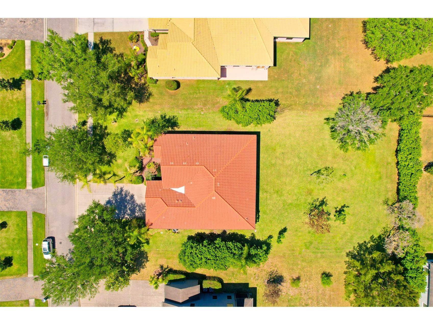 9313 Lisbon Street Seffner FL 33584 TB8497197 image45
