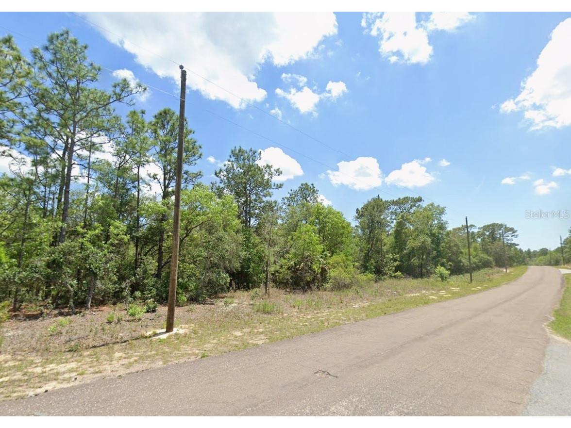 9313 N Hawkweed Drive Citrus Springs FL 34433 TB8466607 image1