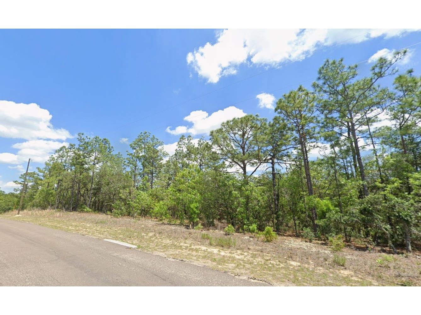 9313 N Hawkweed Drive Citrus Springs FL 34433 TB8466607 image2